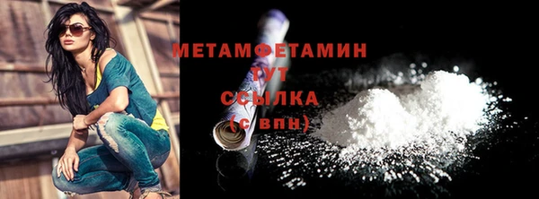 шишки Белокуриха