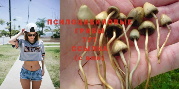 шишки Зеленокумск