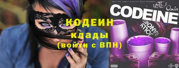 шишки Белокуриха