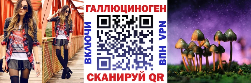 блэк спрут зеркало  Шагонар  Псилоцибиновые грибы MAGIC MUSHROOMS  где найти наркотики 