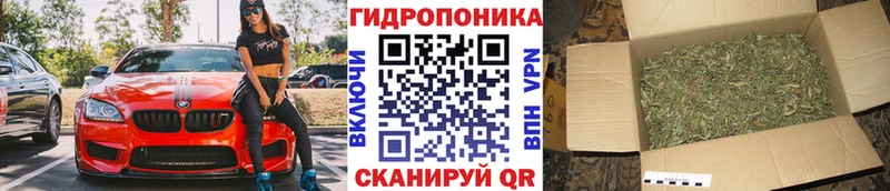 наркошоп ссылка на мегу ТОР Бошки Шишки Ganja Шагонар